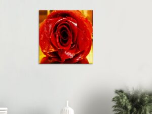 EV-Art