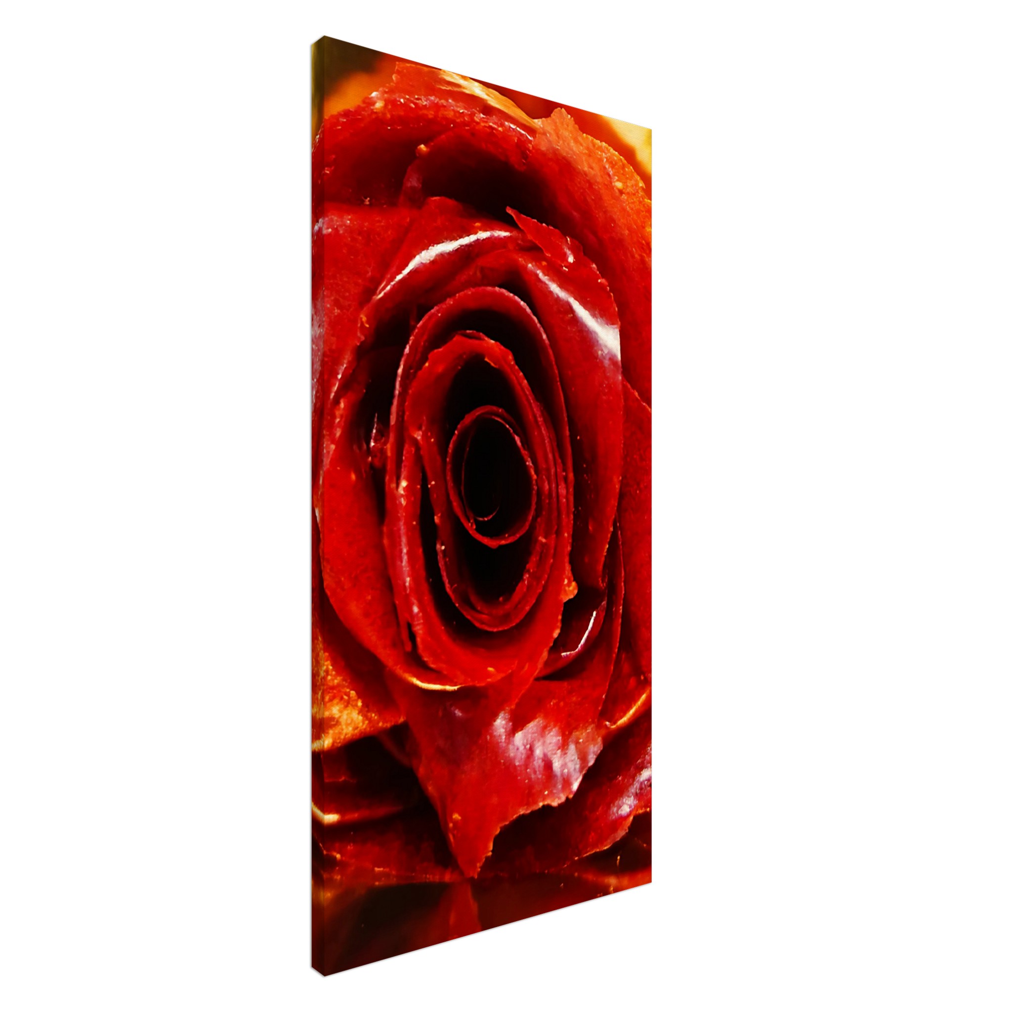 303d9893-5e2a-4b4a-ae48-0f48507b4df7