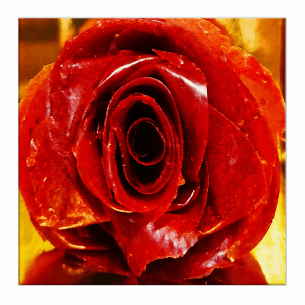 Strawberry Rose Canvas