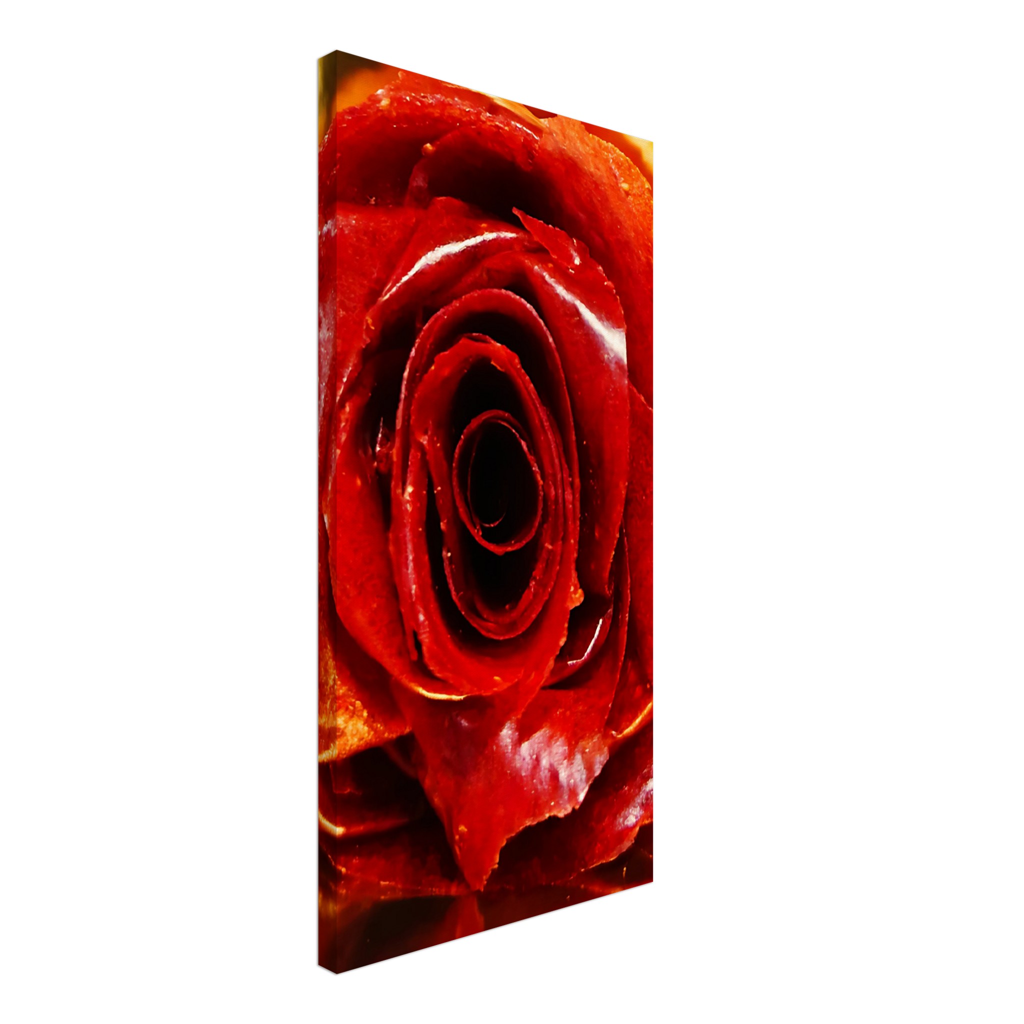 a357e8c2-6e4b-4b03-bb52-81bcdd126b53