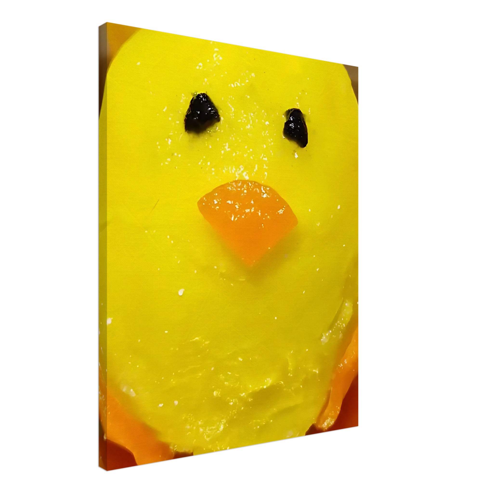 d70fbb86-6868-4625-acef-e464d798f5c9