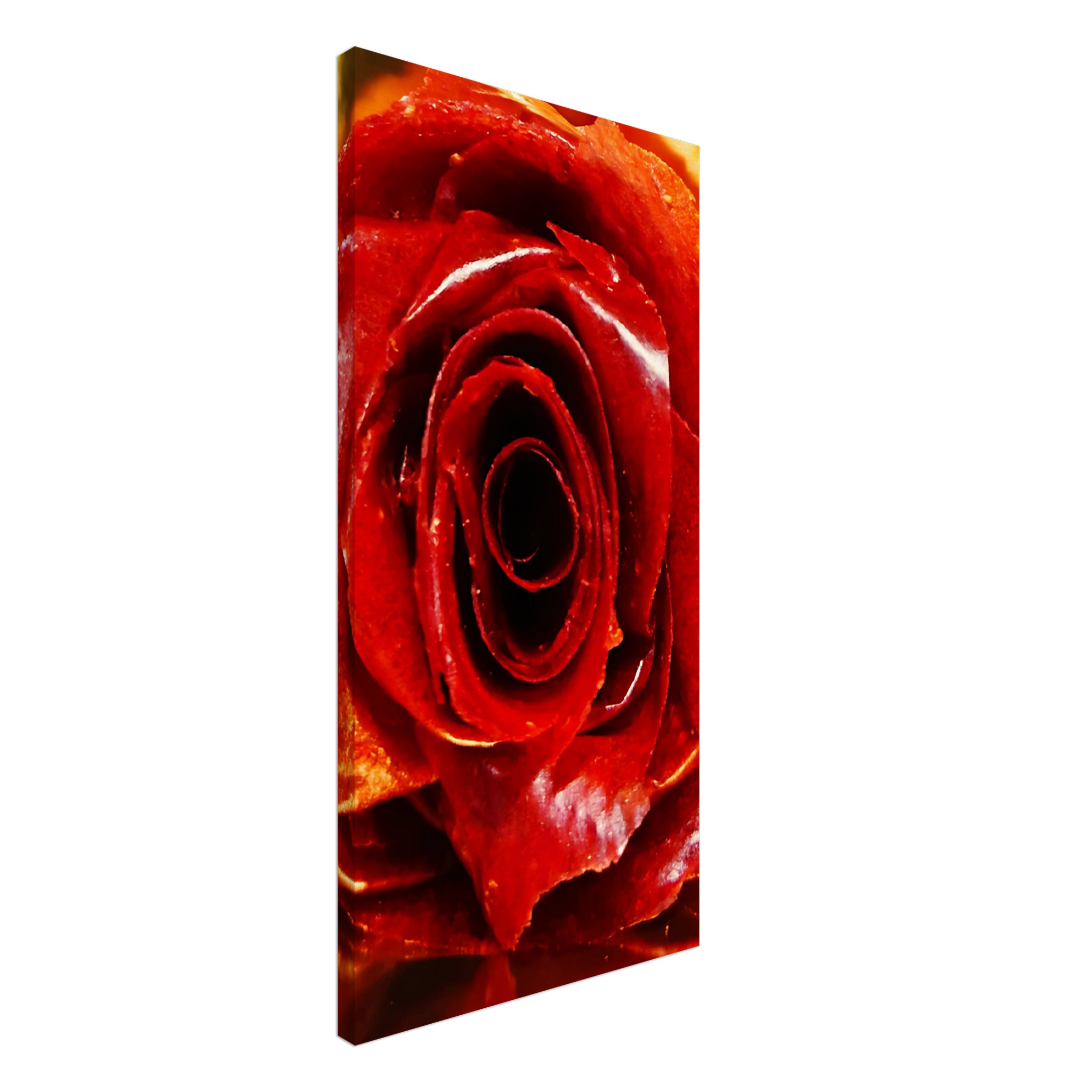 fecd8e73-435e-4a4b-a583-273e8006c999